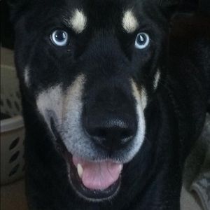 Meet your Posher, Zion